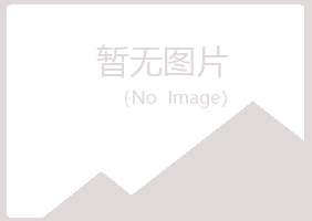 日照岚山清新金融有限公司